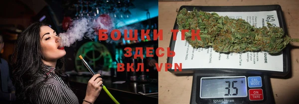 mdpv Ельня