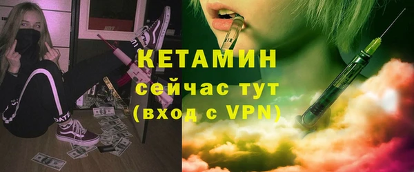 прущие грибы Елабуга