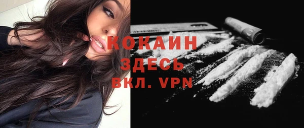 прущие грибы Елабуга