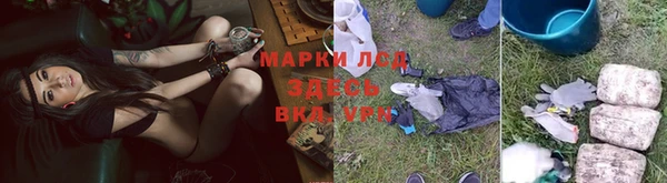 mdpv Ельня