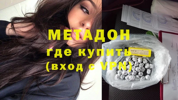 прущие грибы Елабуга