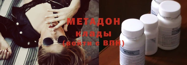 прущие грибы Елабуга
