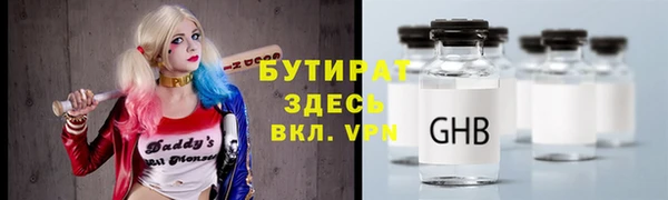 прущие грибы Елабуга