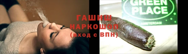 прущие грибы Елабуга
