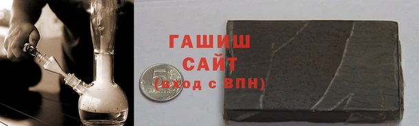 прущие грибы Елабуга