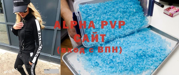 прущие грибы Елабуга
