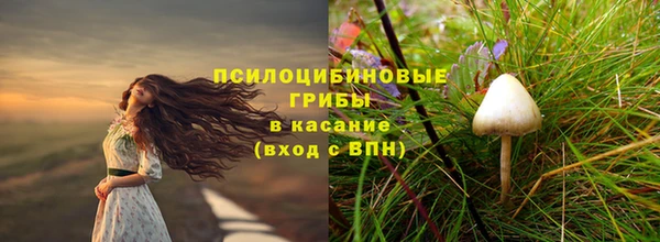 скорость Елизово