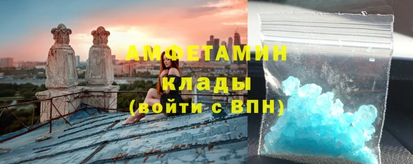 прущие грибы Елабуга