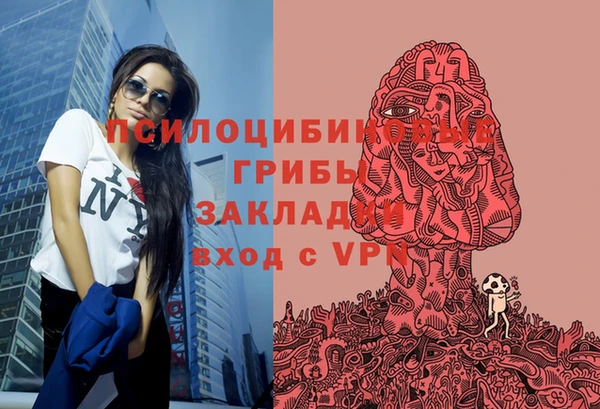mdpv Ельня