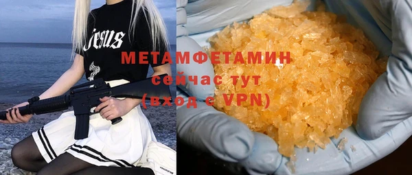 прущие грибы Елабуга