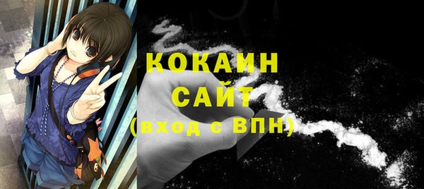 прущие грибы Елабуга