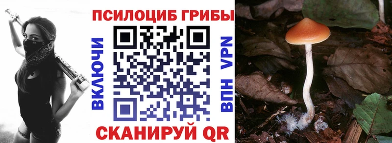 даркнет сайт hydra вход Галлюциногенные грибы мухоморы Комсомольск-на-Амуре
